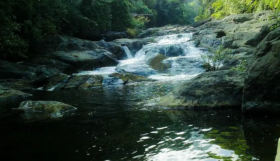 Kerala Backwater Tour